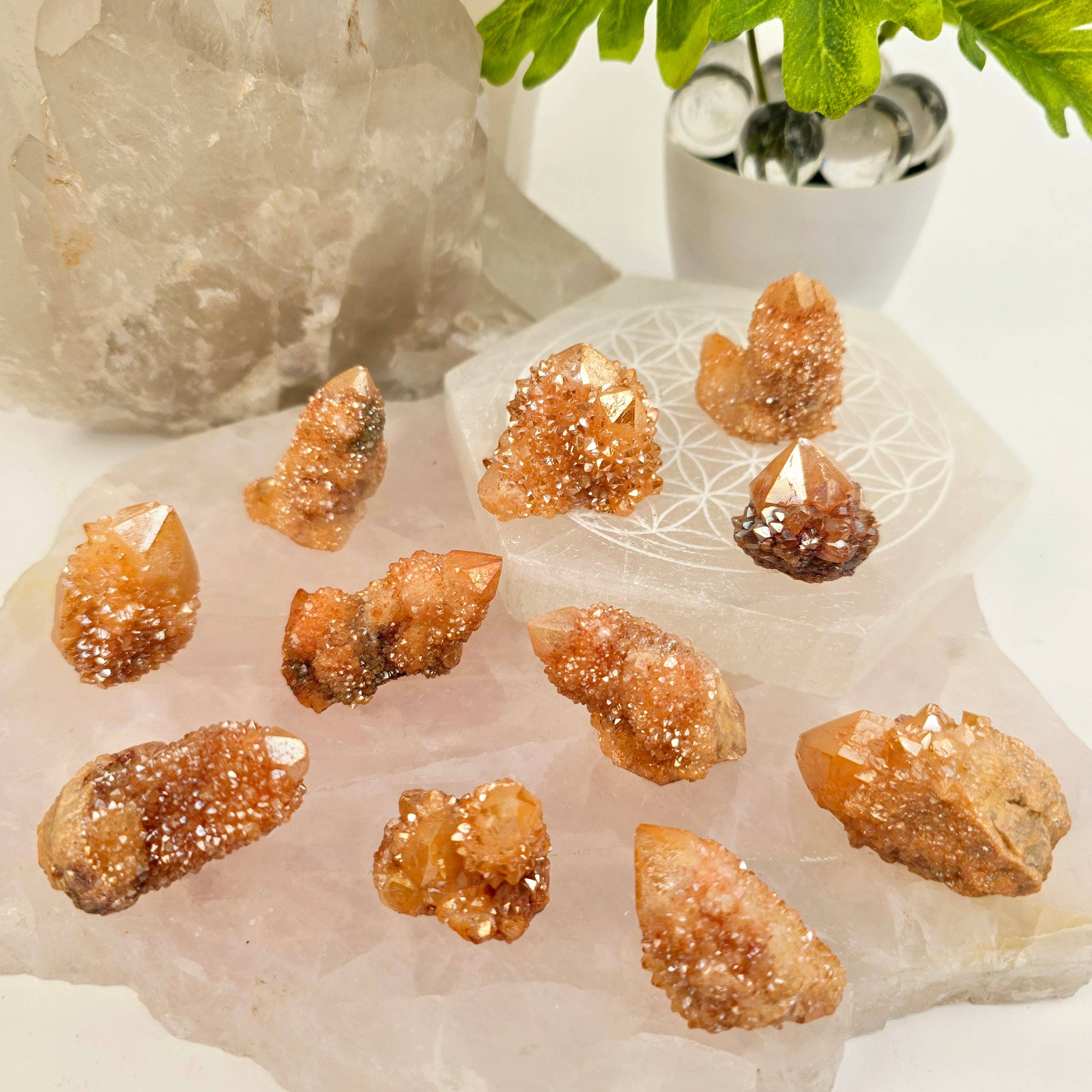 Sunshine Cactus Quartz - Spirit Quartz Crystal Cluster